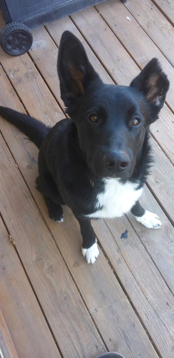 /Images/uploads/Humane Society of Utah/HSUCalendar/entries/1046thumb.jpg